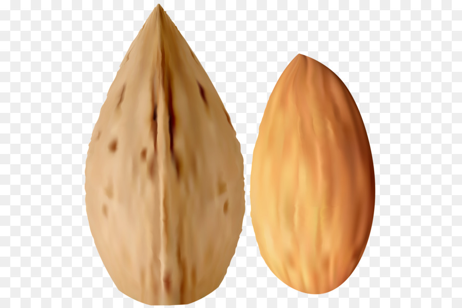 Amandes，Amande PNG