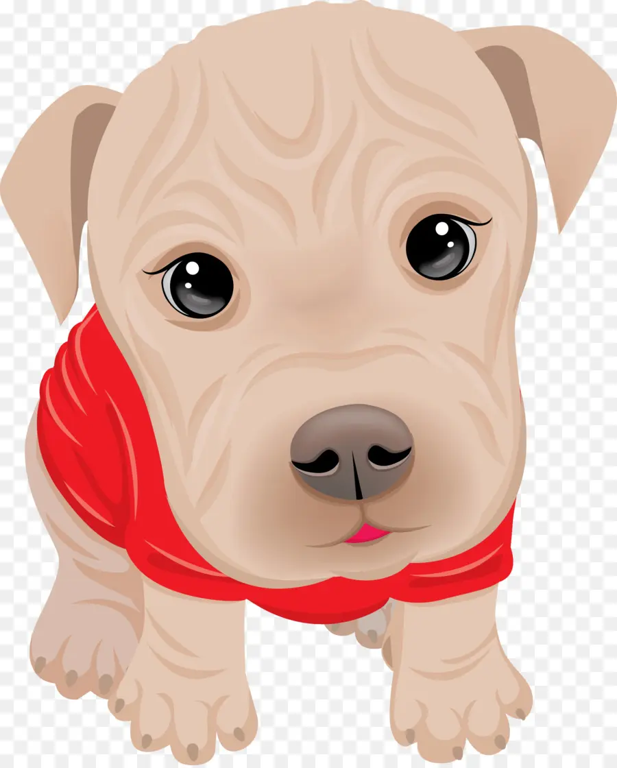 Chiot Mignon，Chien PNG