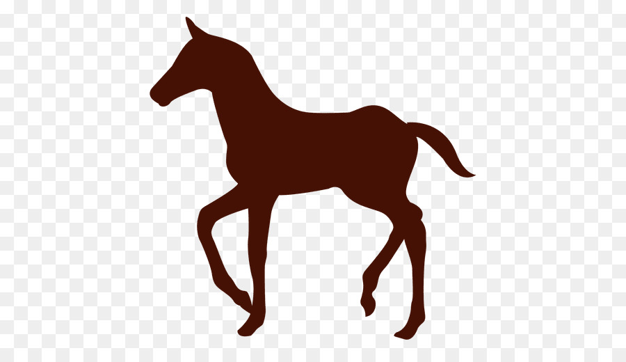 Cheval Noir，Cheval PNG