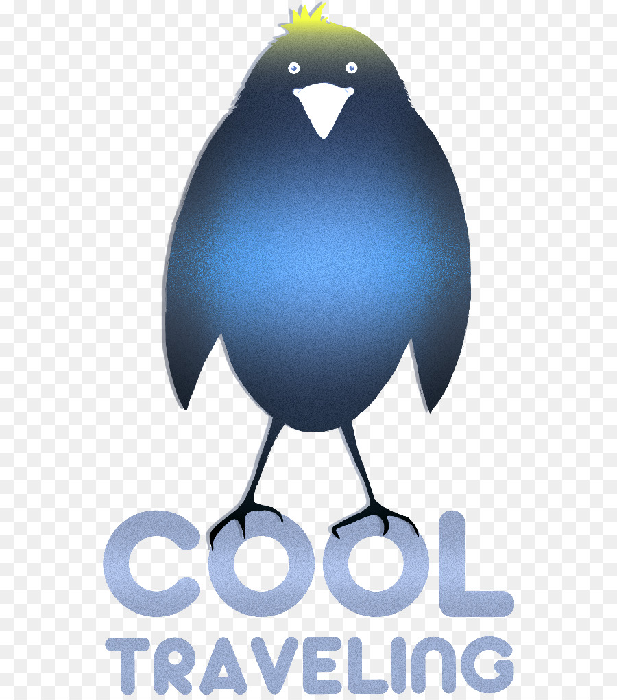 Oiseau De Dessin Animé，Cool PNG