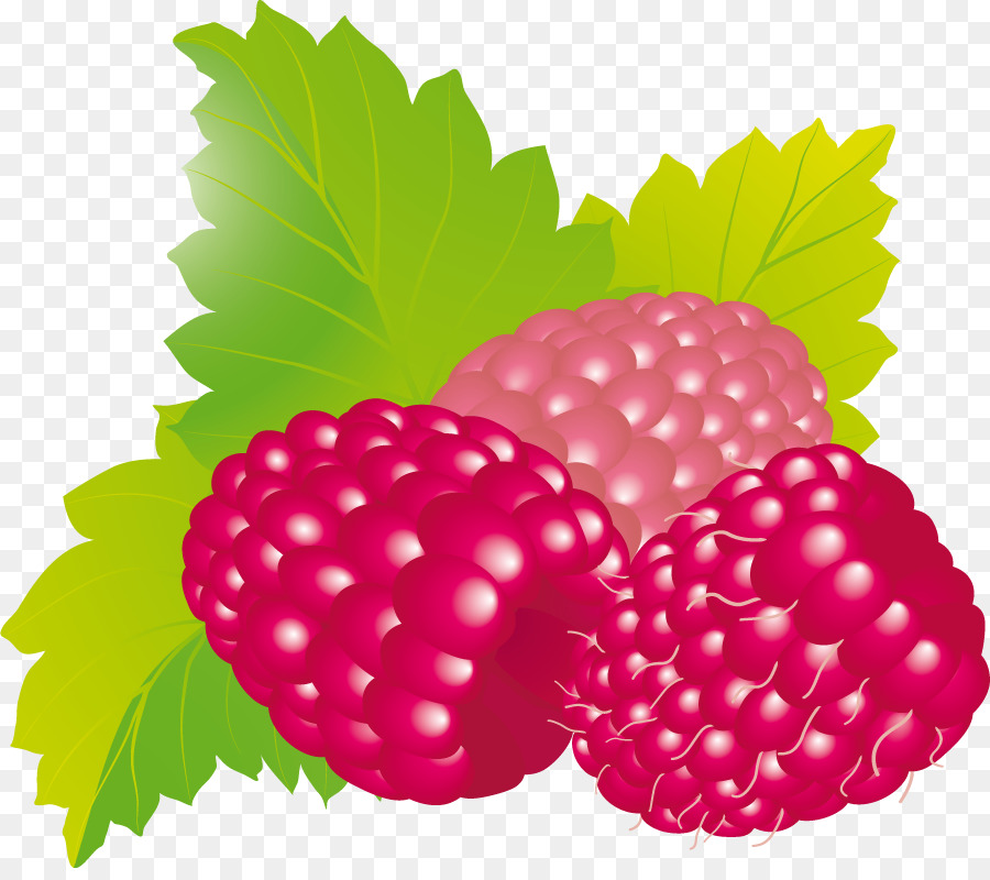 Framboises，Baie PNG