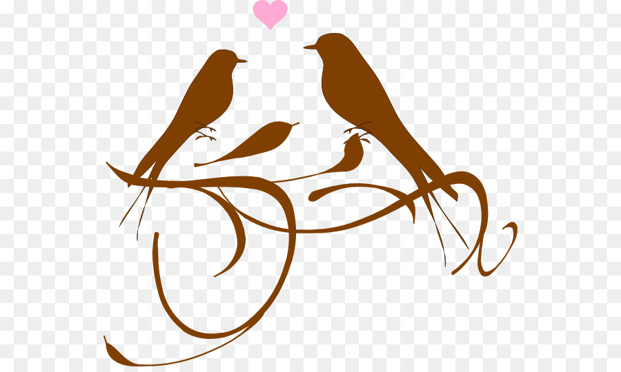 Oiseaux，Amour PNG