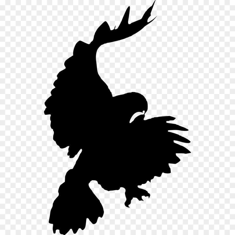 Aigle Silhouette，Faucon PNG