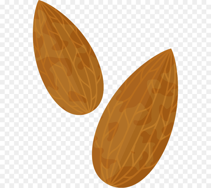 Amandes，Noix PNG