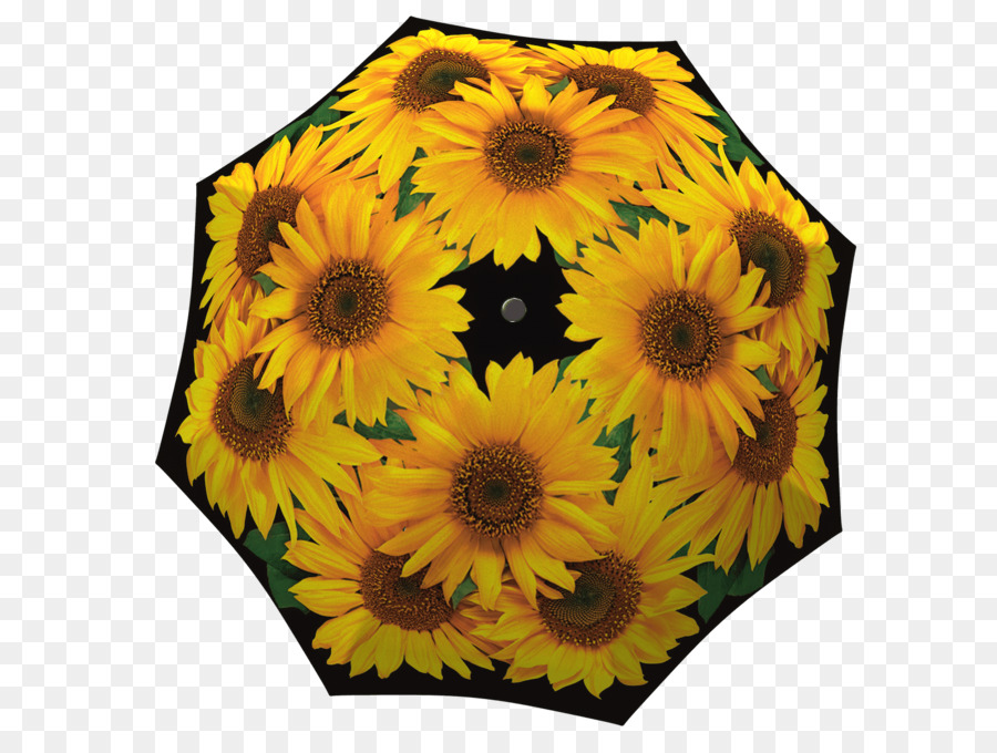 Commune De Tournesol，Parapluie PNG