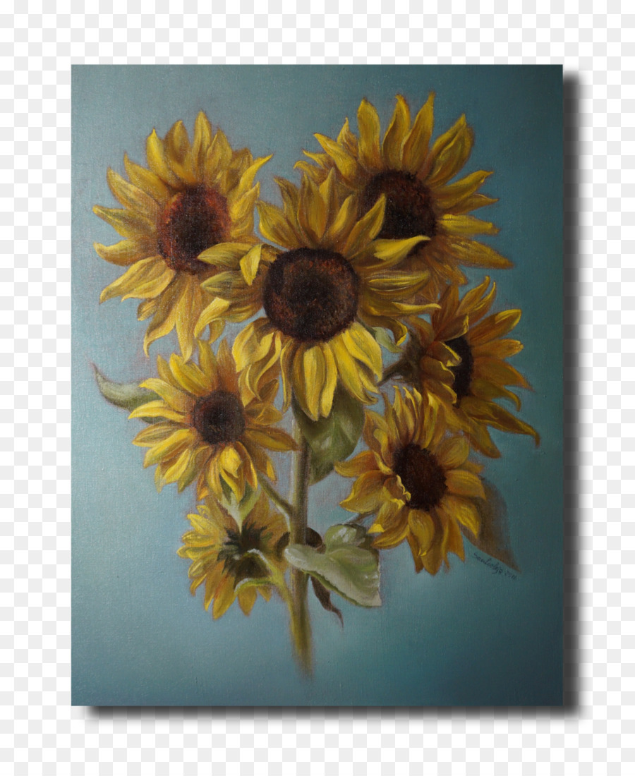 Fleur，Commune De Tournesol PNG