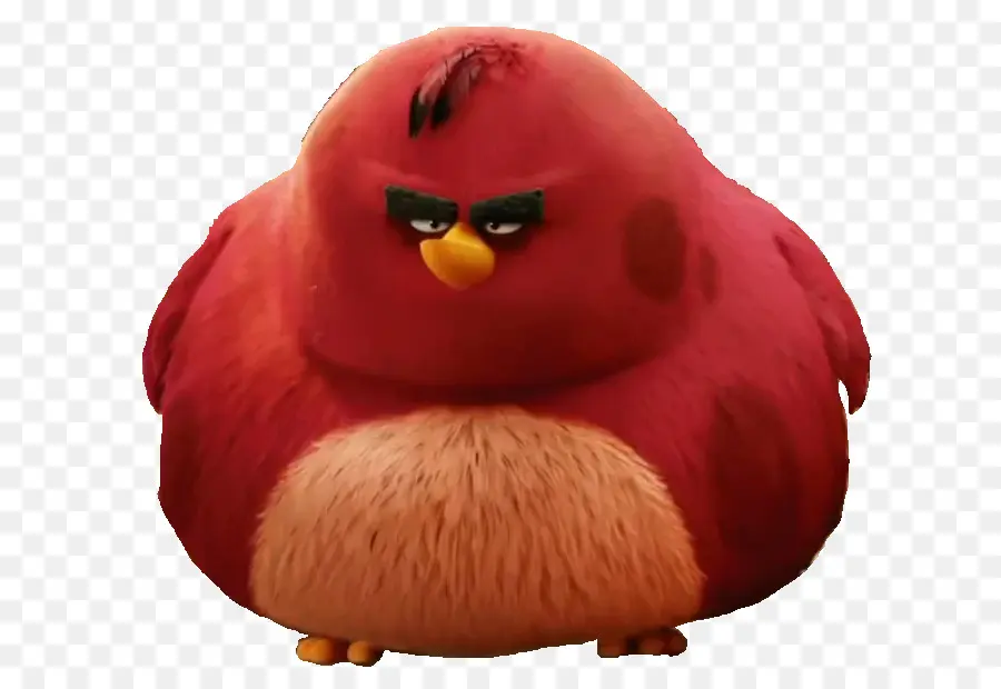 Les Oiseaux En Colère Vont，Angry Birds 2 PNG