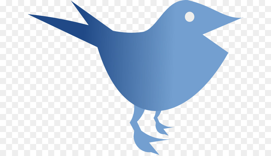 Oiseau Bleu，Animal PNG