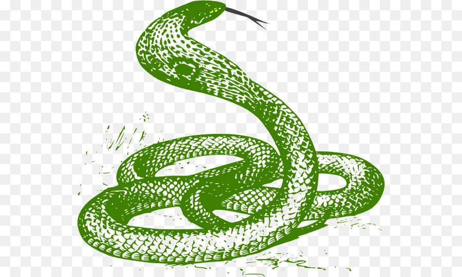 Serpent Vert，Serpent PNG