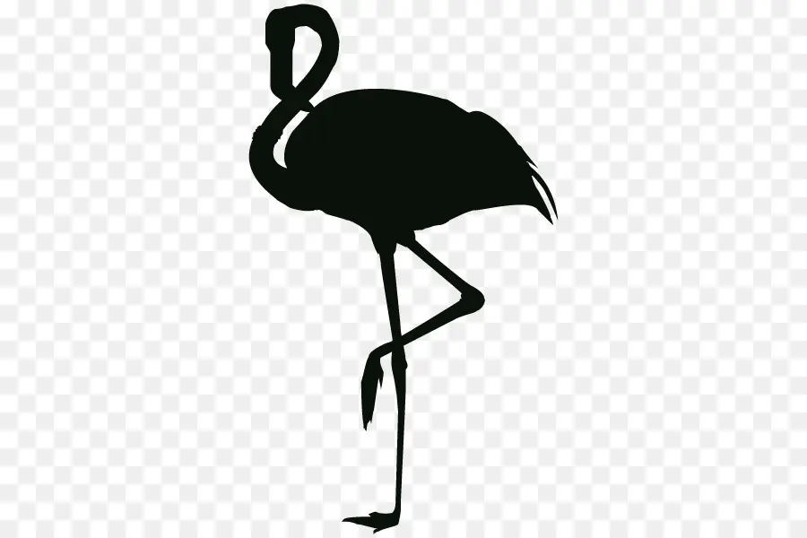 Silhouette De Flamant Noir，Flamant PNG