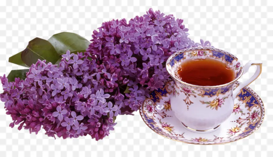 Thé Et Lilas，Thé PNG