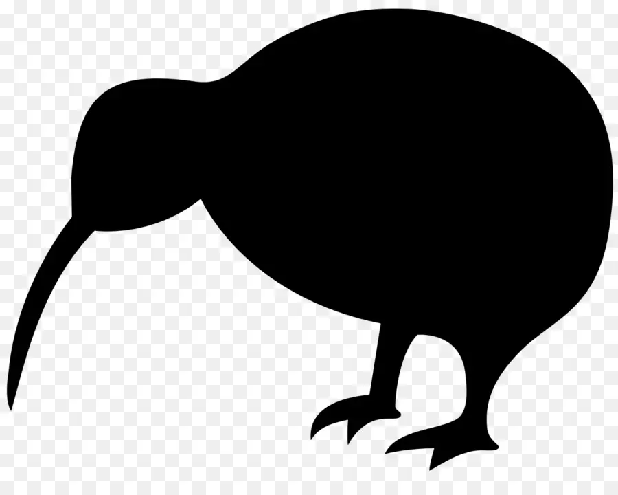 Oiseau Kiwi，Silhouette PNG