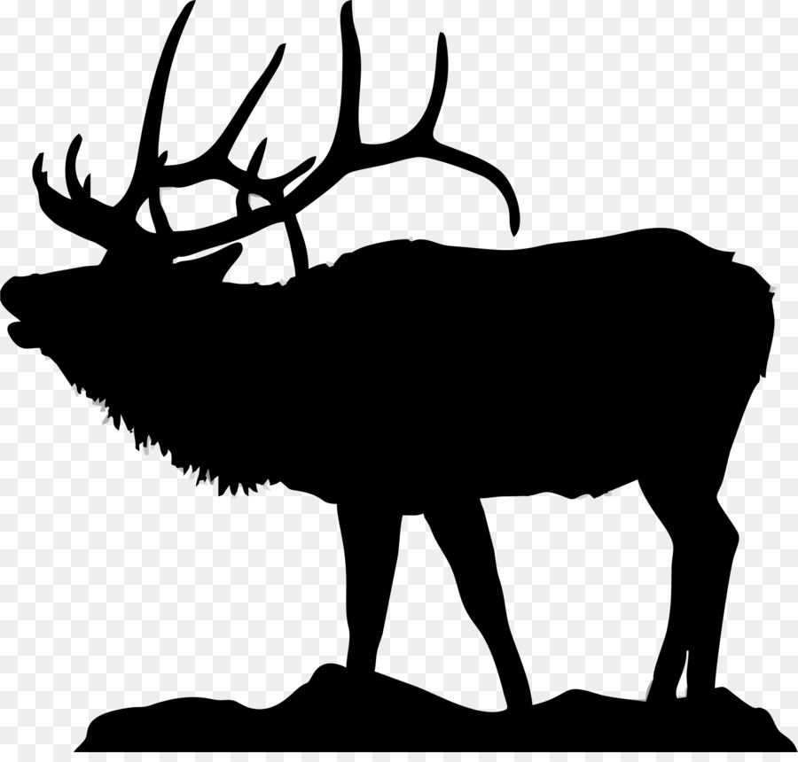 Silhouette De Cerf，Bois PNG