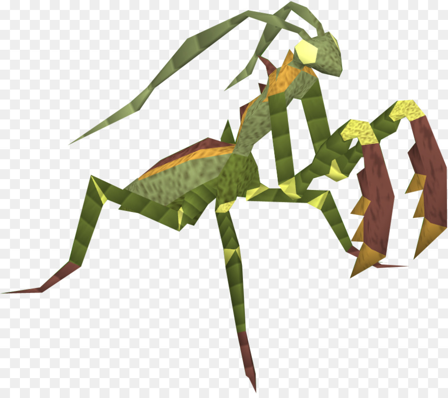 Les Insectes，Mantis PNG