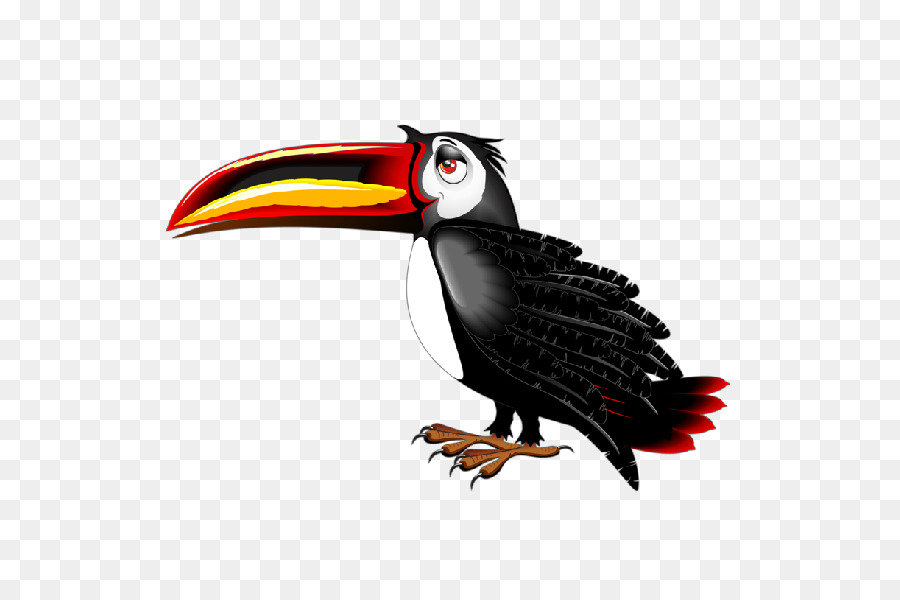 Toucan，Oiseau PNG