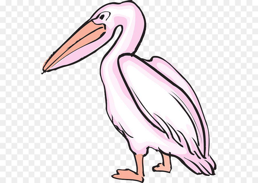 Pelican，Dessin PNG