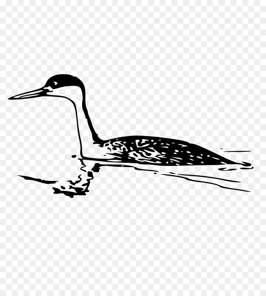 Canard，Eau PNG