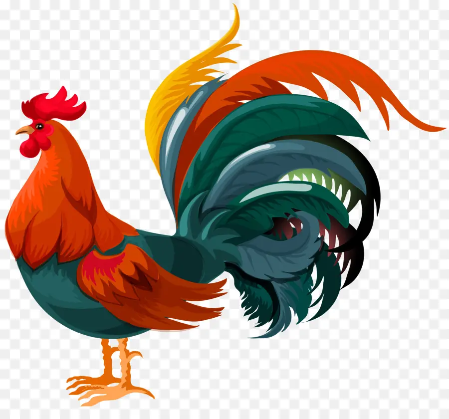 Coq，Royaltyfree PNG