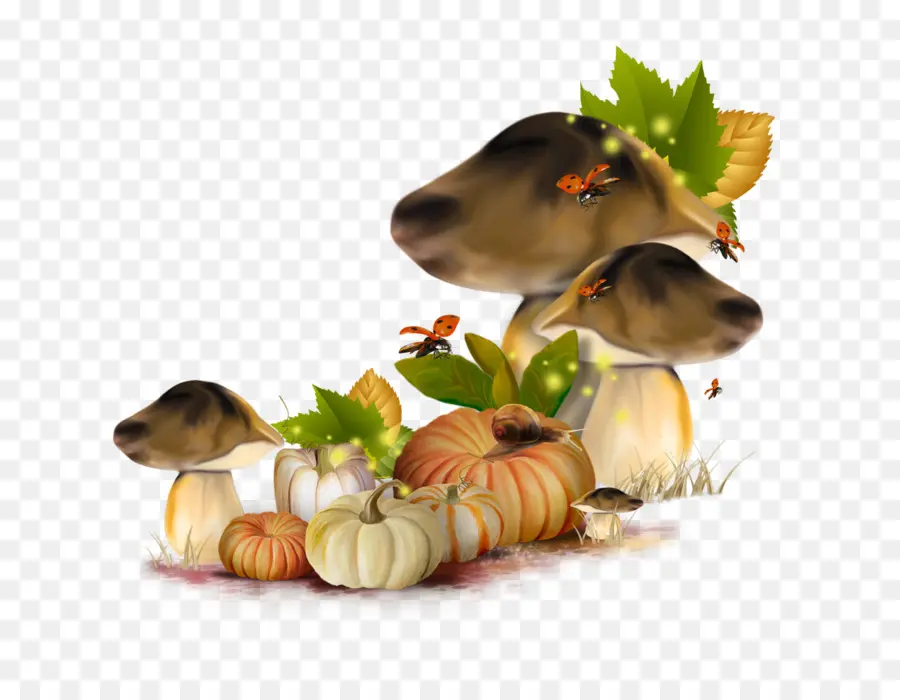 Champignons Et Citrouilles，Feuilles PNG