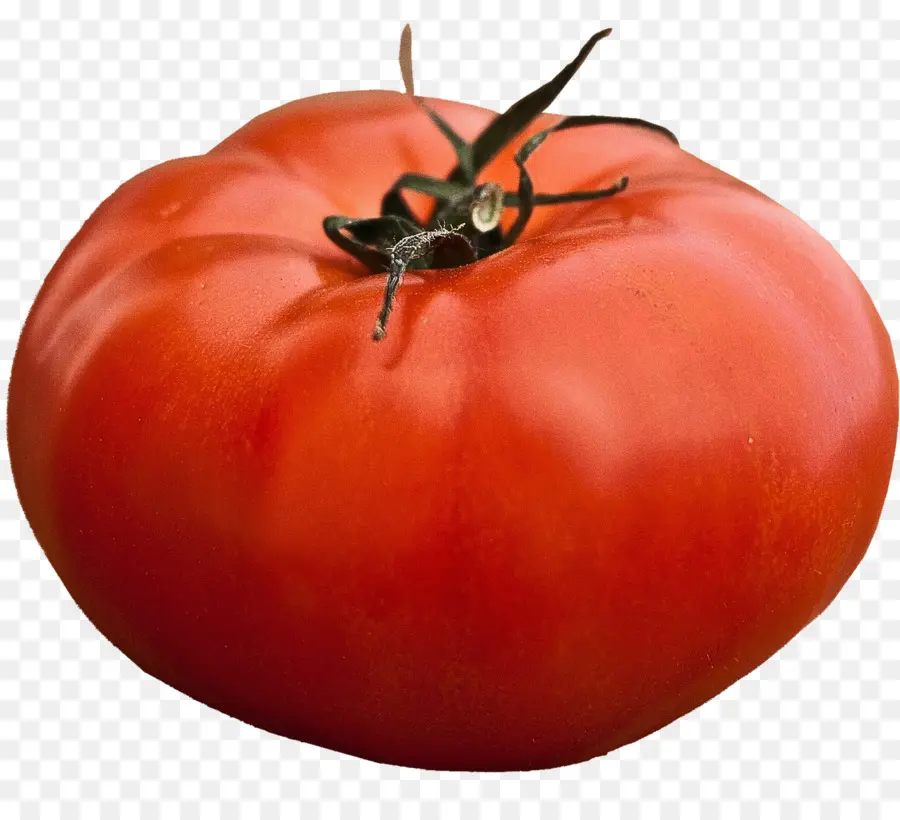 Tomate，Légume PNG