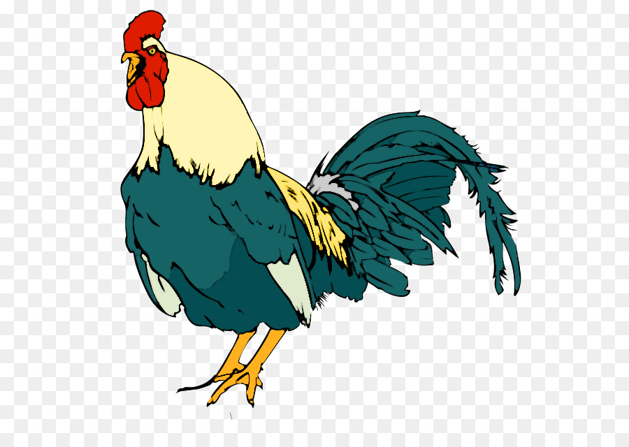 Coq，Poulet PNG