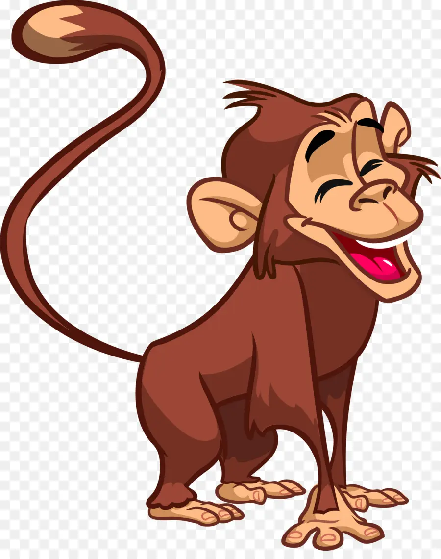 Singe Qui Rit，Singe PNG