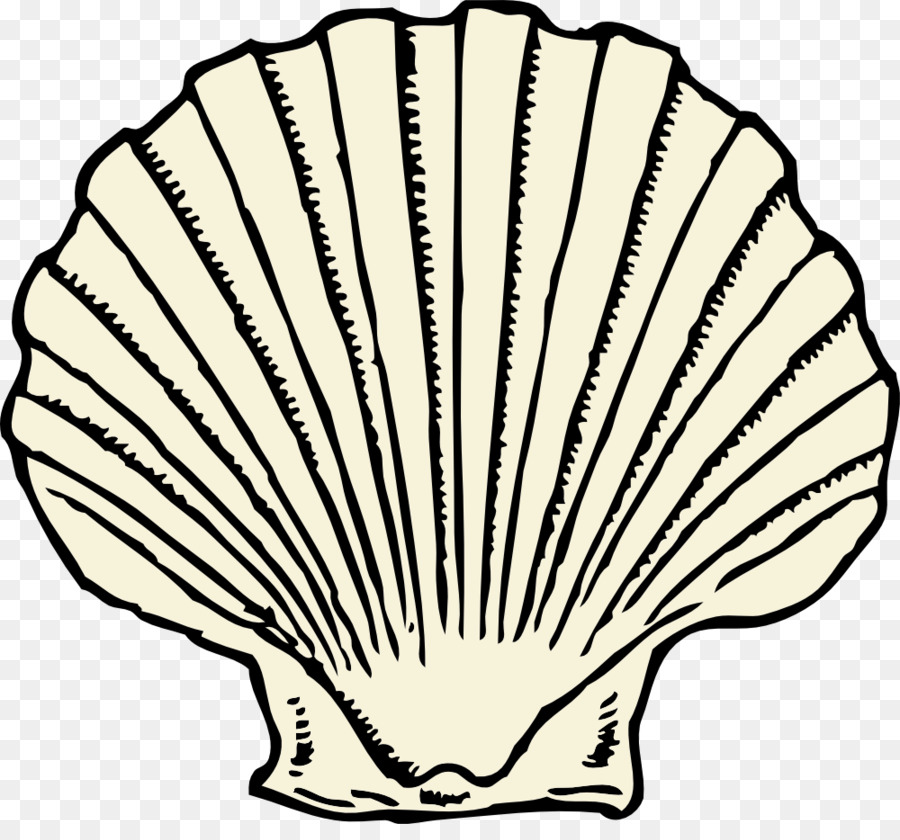 Coquille Jaune，Mer PNG