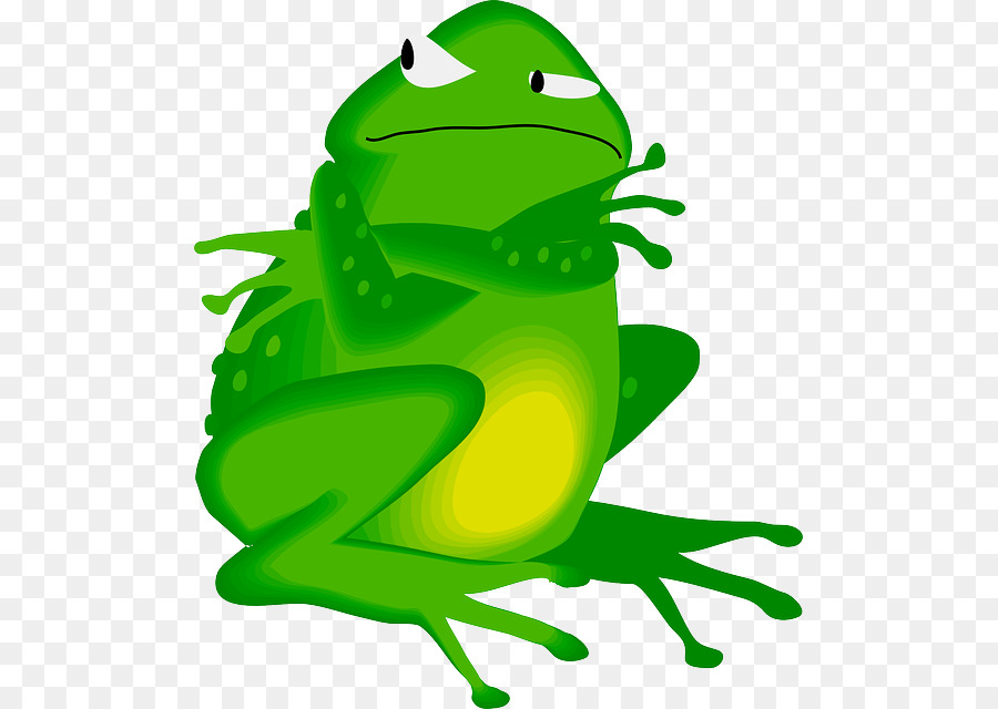 Grenouille Verte，Amphibie PNG