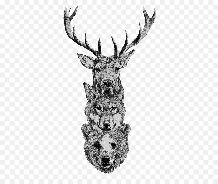Loup Gris，Cerf PNG