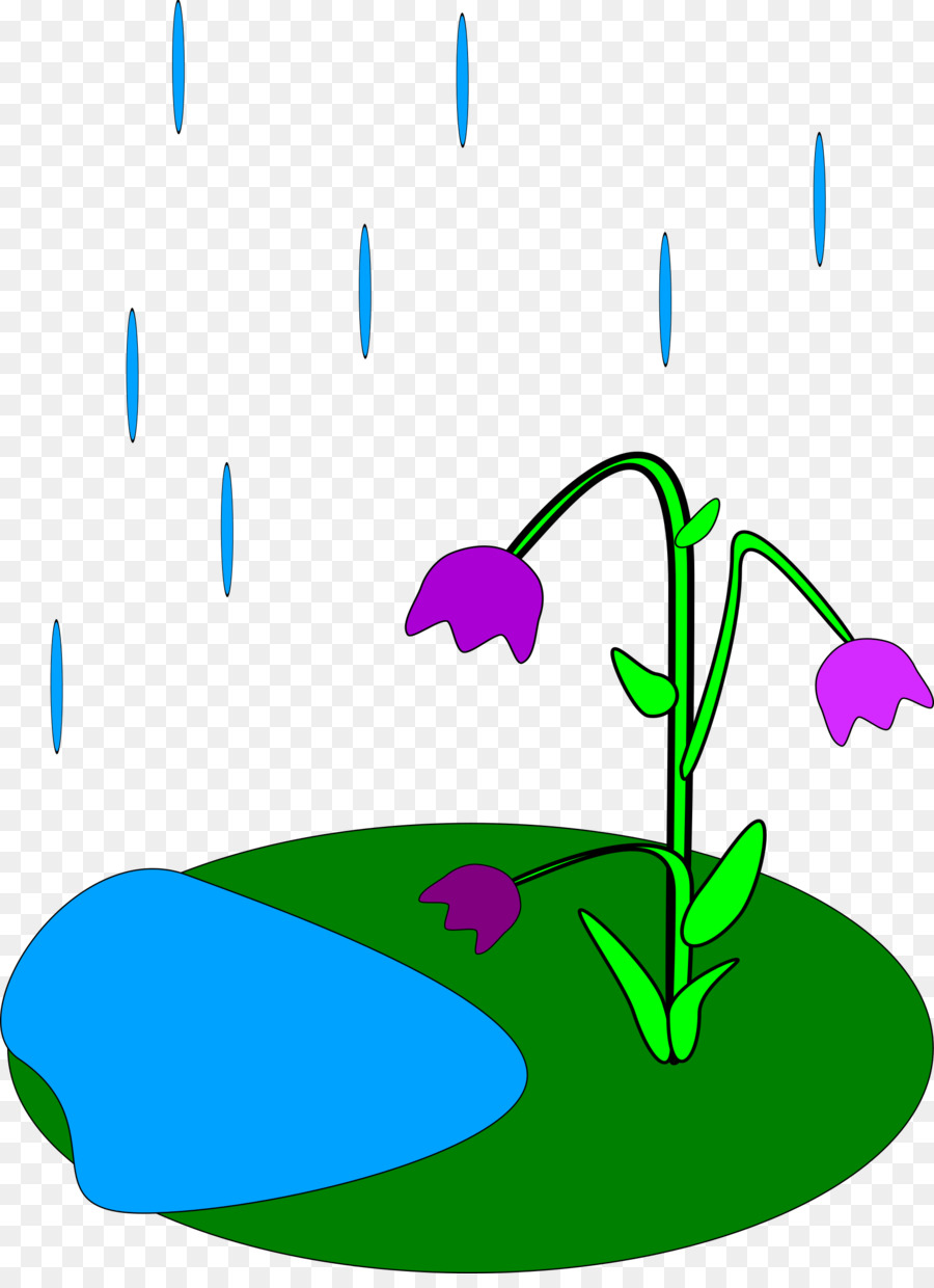 Fleur Fanée，Pluie PNG