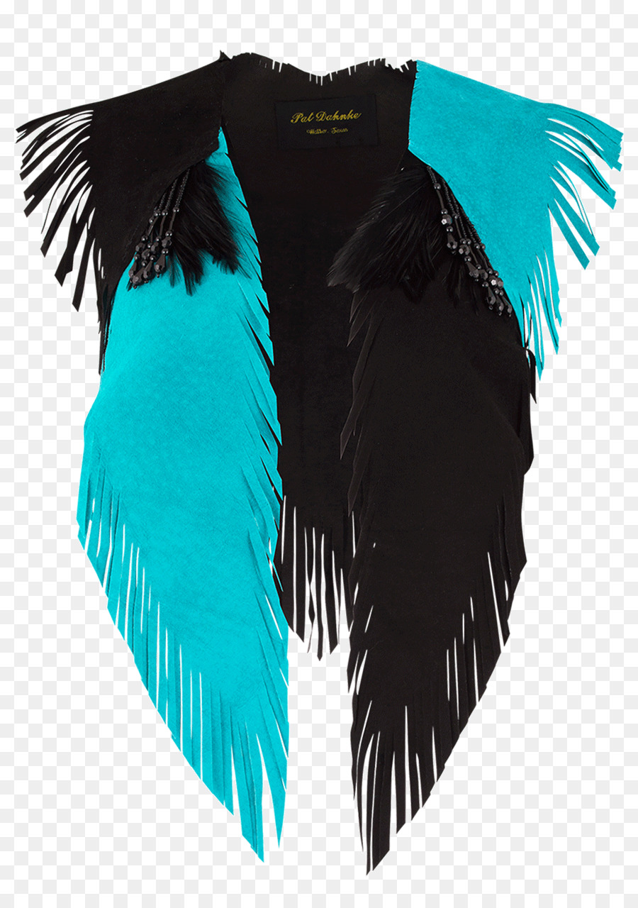 Turquoise，La Sarcelle D Hiver PNG