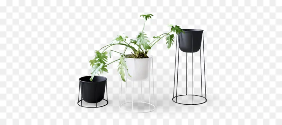 Flowerpot，Vase PNG