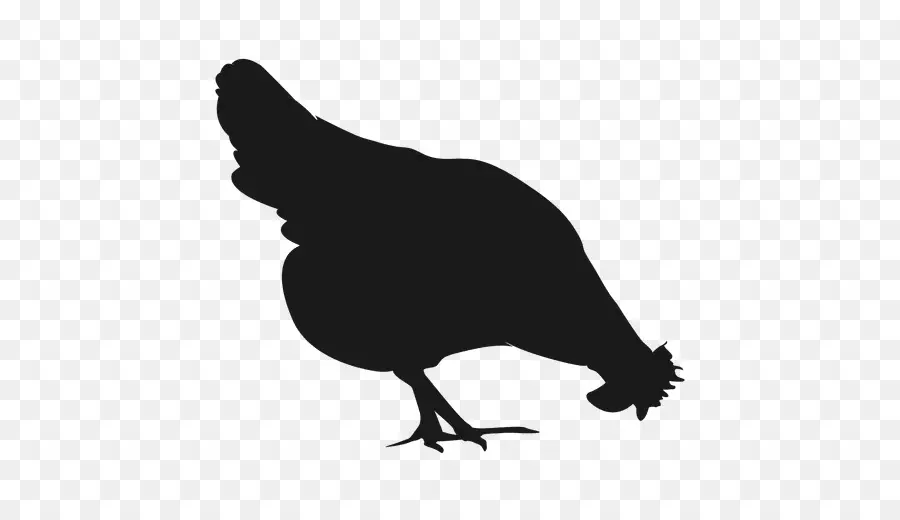 Silhouette De Poulet，Poule PNG