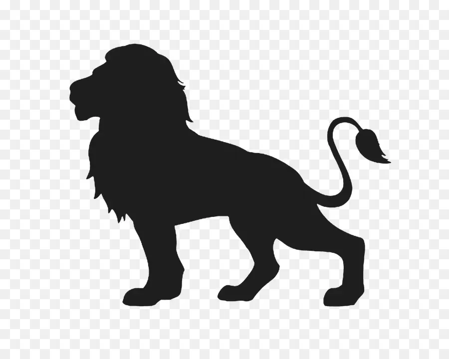 Lion，Décalque PNG