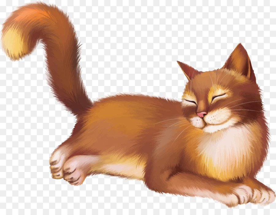 Chat，Dessin PNG