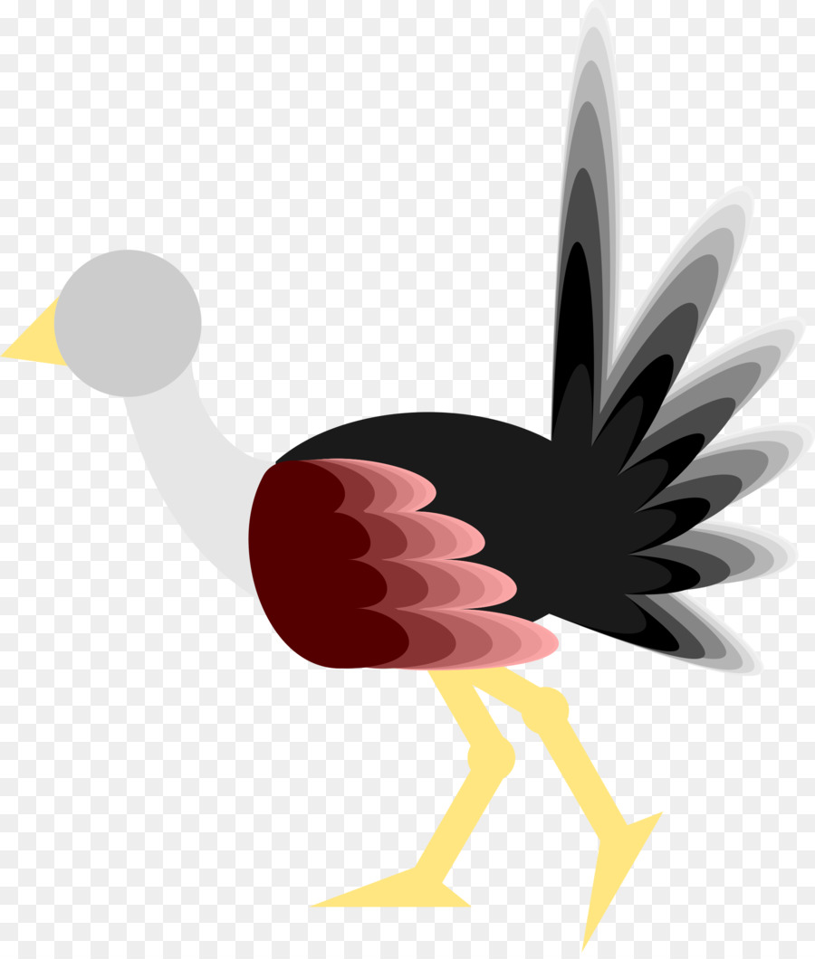 Oiseau，Commune De Autruche PNG