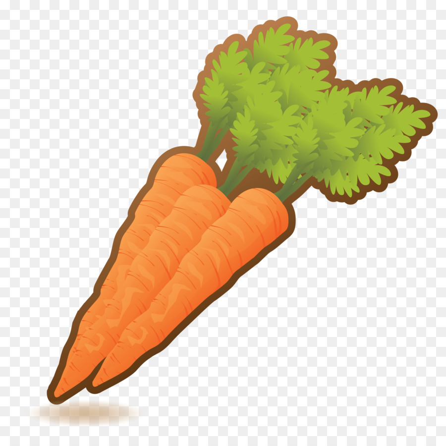 Carottes，Racine PNG