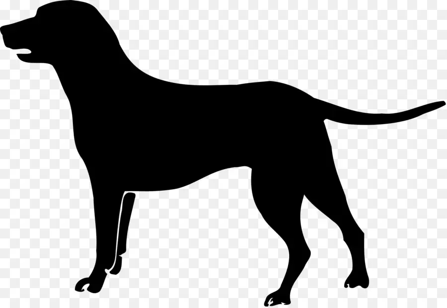 Silhouette De Chien，Chien PNG