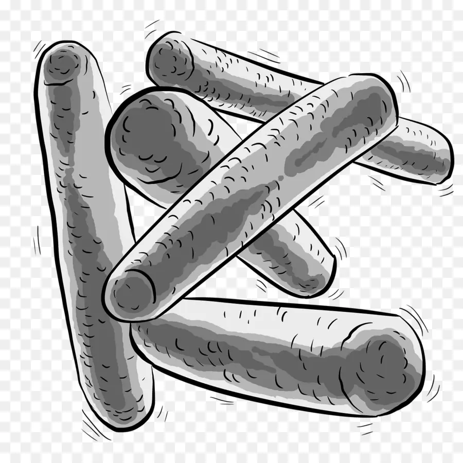 Les Bactéries，Les Probiotiques PNG