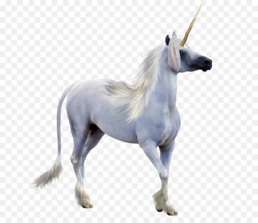 Licorne，Pegasus PNG