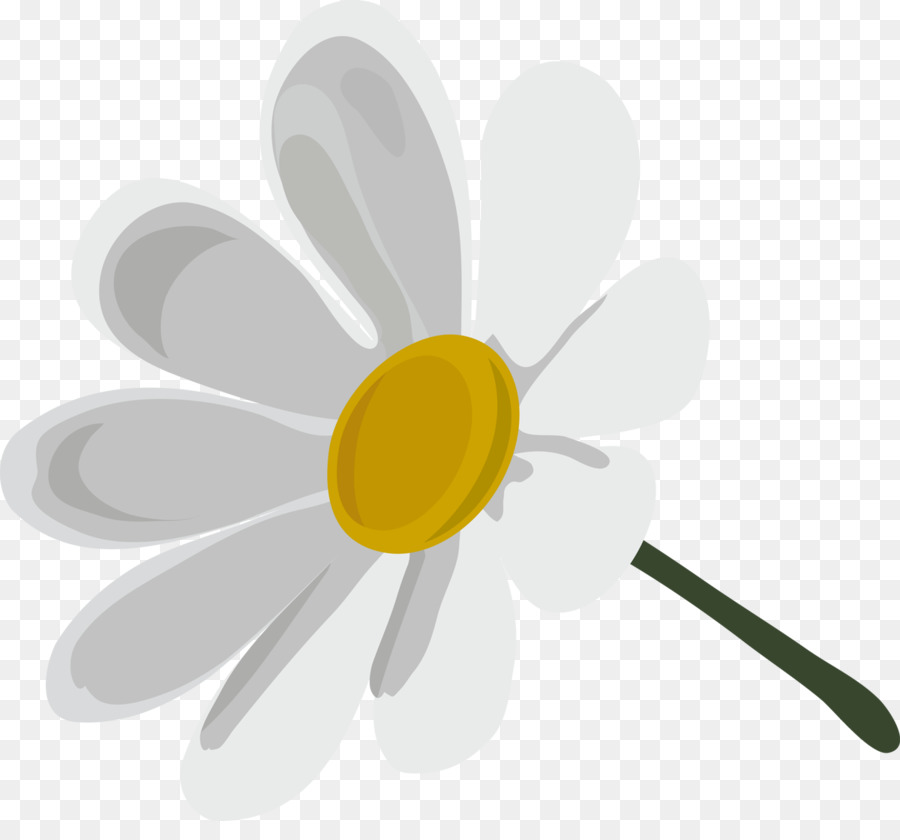 Marguerite，Blanc PNG