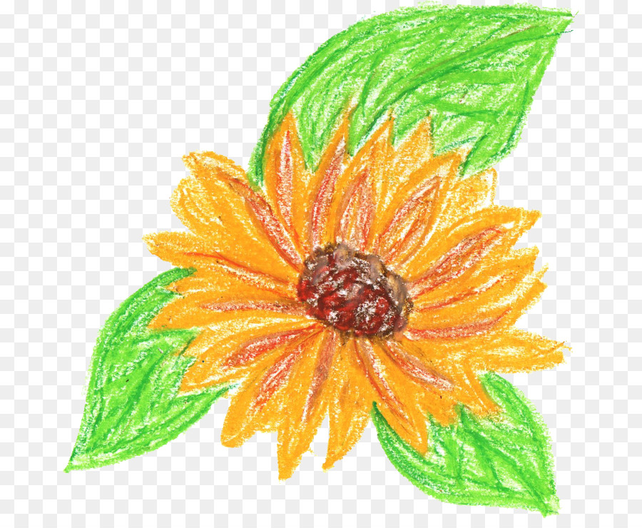 Fleur D'oranger，Feuilles Vertes PNG