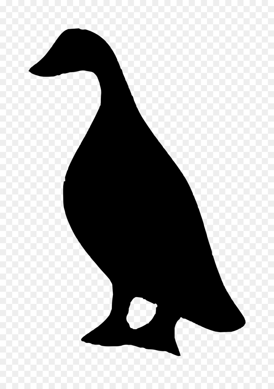 Canard，Silhouette PNG