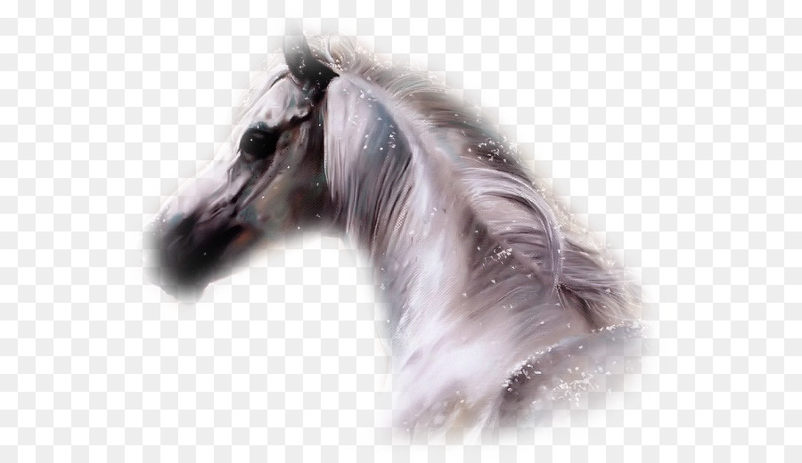 Cheval，Hurler PNG