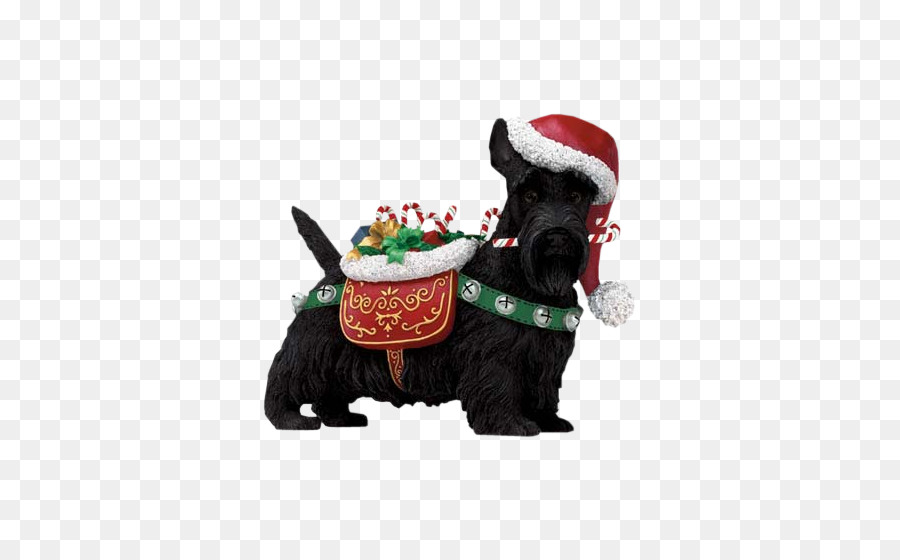 Chien Avec Bonnet De Noel，Noël PNG