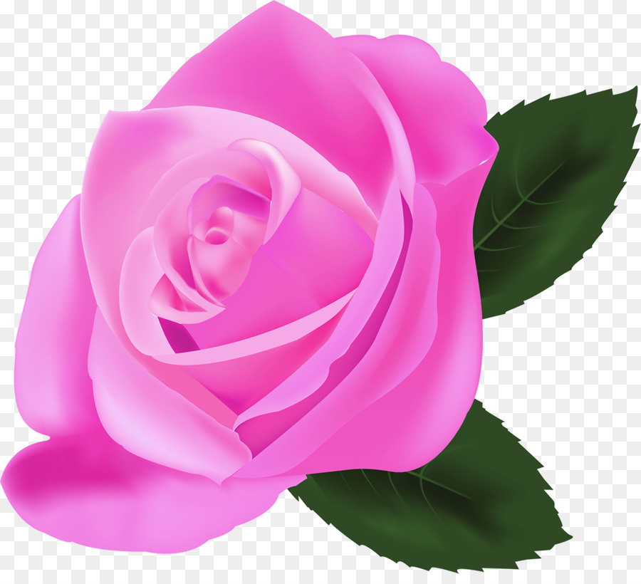 Pêche Rose，Floraison PNG