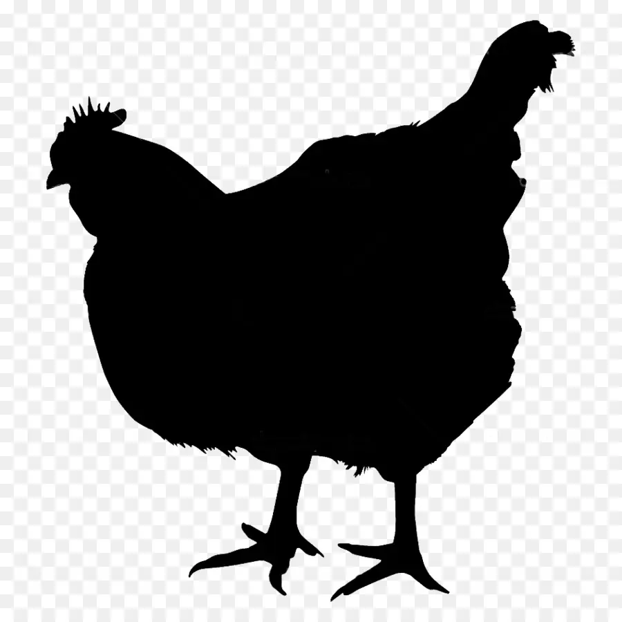 Silhouette De Poulet，Volaille PNG