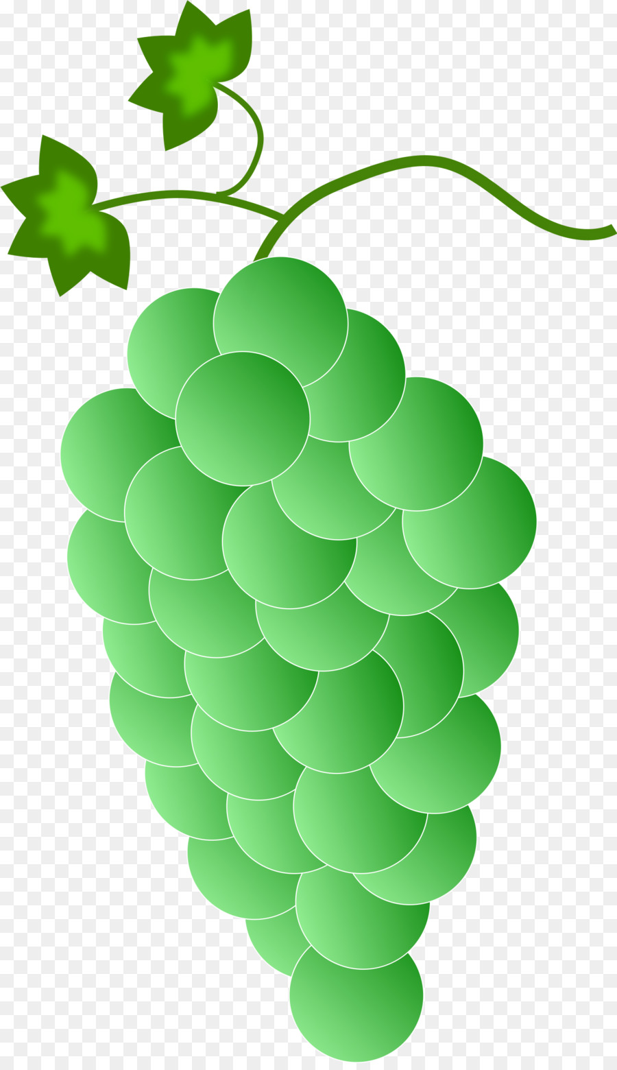 Raisin，Vin PNG