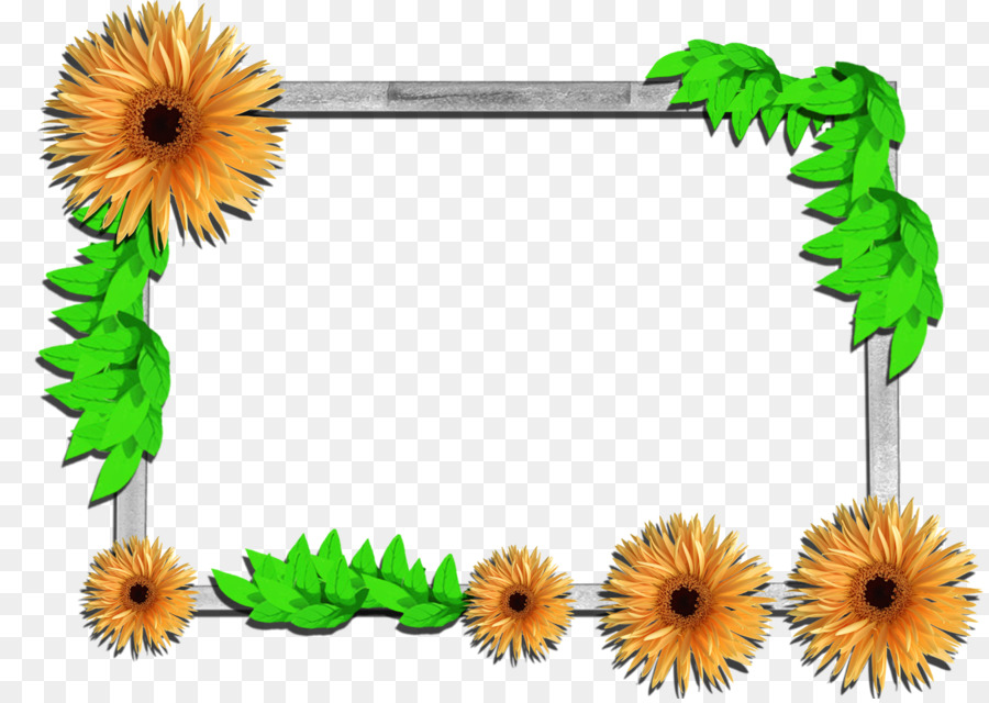 Cadre，Fleurs PNG