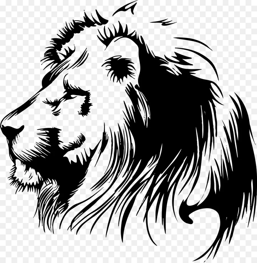 Lion，Lionhead PNG